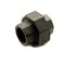 Thrifco Plumbing 1/8 Inch Black Union 9119029 - alternate 5